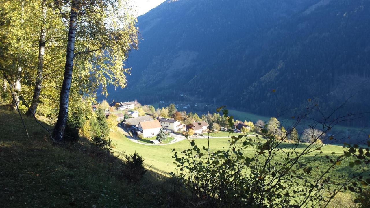 Am Bauernhof Zechner Heidi Flattach
