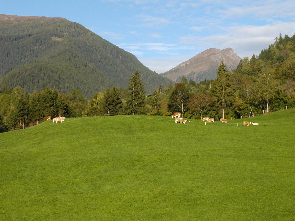 Am Bauernhof Zechner Heidi Flattach